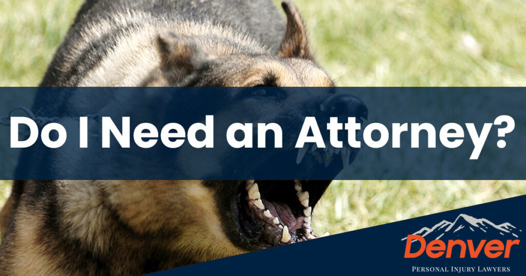 Do I Need a Denver Dog Bite Attorney