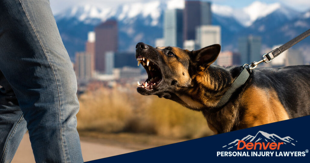 Denver Dog Bite Lawyers